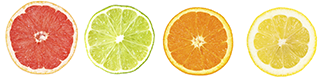 row-of-citrus