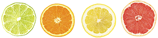row-of-citrus2