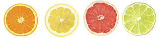 row-of-citrus3