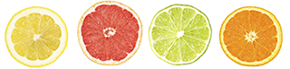 row-of-citrus4